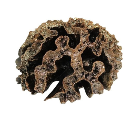 Dekoratívna socha z koralov