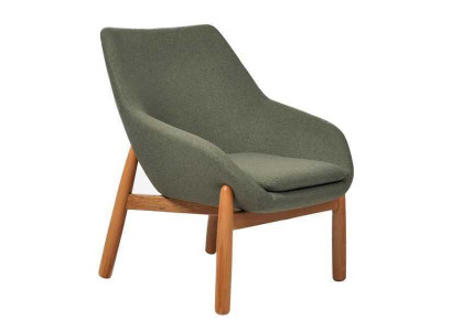 Grüner Esszimmerstuhl Wohnzimmer Stühle Designer Einsitzer Holzfüße