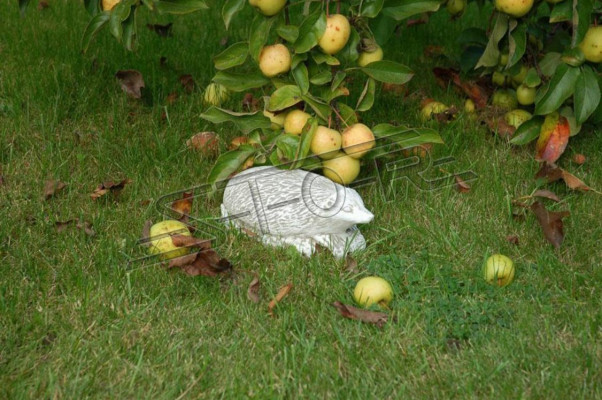 Garten Dekoration Igel Terrasse Stein Figuren Figur Deko Statue