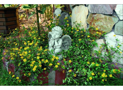 Grabschmuck Grab Stein Deko Dekoration Engel Figur Skulptur Gott Heilig