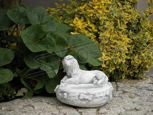 Napf Näpfe Hunde Katzen Napf Tierfutter Tränke Stein Design Hund