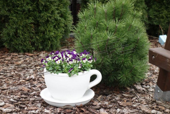 Blumenkübel Pflanz Kübel Natur Dekoration Vasen Figur Garten Blumentöpfe