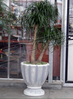 Blumentöpfe Kasten Topf Blumen Dekorative Töpfe XXL Beton Garten Terrasse