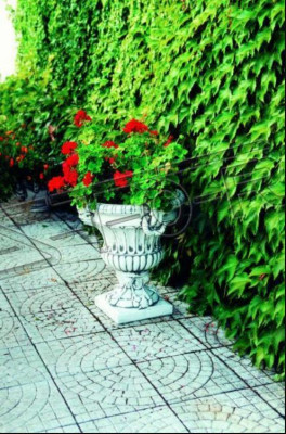 Design Blumentopf Top Planz Kübel Gefäß Töpfe Dekorative Figur Gesicht