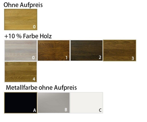 Esstisch Besprechungs Tische 220*100 cm Holz Konferenztisch Neu Vollholz Möbel
