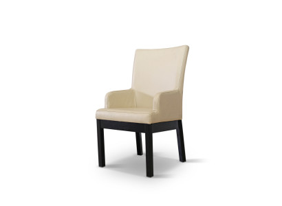 Esszimmerstuhl Set 20x Stuhl Sessel Holz Leder Polster Stühl Gastro Esszimmer