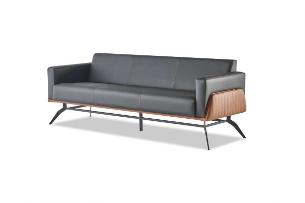 Ledersofas Schwarz Braun Sofa-Set 3-Sitzer 2-Sitzer Sessel Couch Komplett