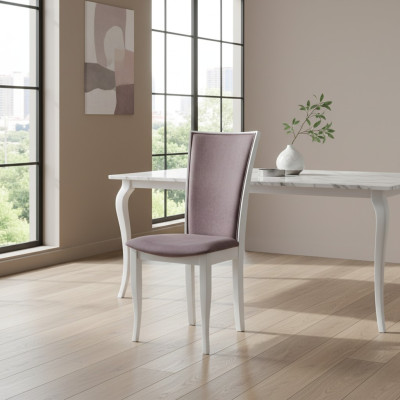 Luxus Design Polster Stuhl Stühle Sitz Lehn Büro Office Holz Esszimmer