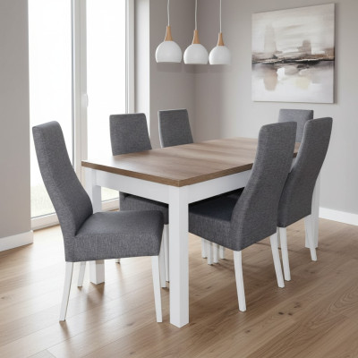 Design Tisch + 6 Stühle Esszimmer Garnitur Stuhl Set Essgarnituren Tische