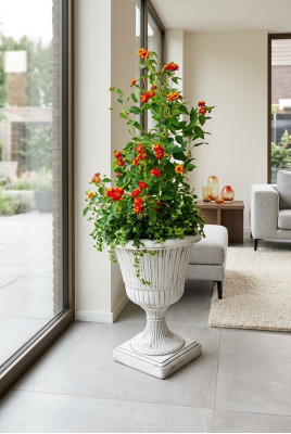 Blumenkübel Pflanz Kübel Dekoration Figur Blumentöpfe Garten Vasen