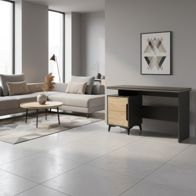 Schreibtisch Computertisch Modern Design Kollektion Wohnzimmer Computer Tische