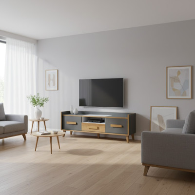 TV Lowboard Schrank Tisch Jugendzimmer Wohnzimmer Kollektion Wohnwände Sideboard