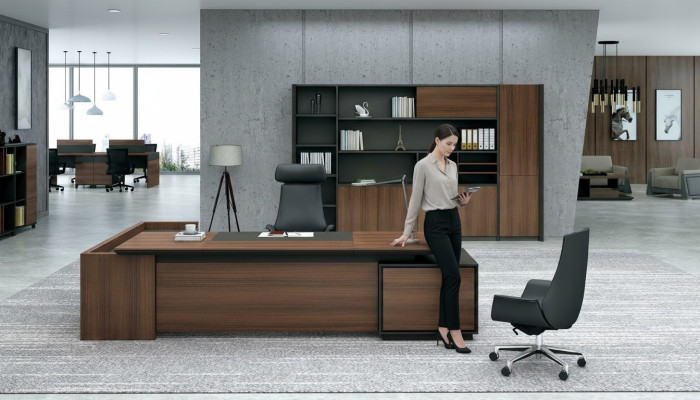 Ecktisch Schreibtisch + Schrank Regal Holz 2tlg. Set Büro Einrichtung