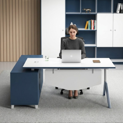 Büro Einrichtung Schreibtisch Aktenschrank Möbel Schreibtische Tische 2tlg.