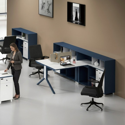 Schreibtisch Regal Doppelter Arbeitsplatz Büro Einrichtung Möbel