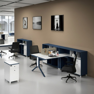 Schreibtisch Regal Doppelter Arbeitsplatz Büro Einrichtung Möbel