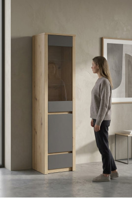 Vitrinen Regale Holz Schränke Wohnzimmer Vitrine Schrank Kommode Glas Regal Neu!