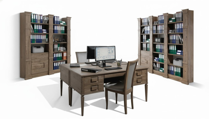 Design Büro Office Kanzlei Tisch Regal Akten Schrank Deko Schreib Tische