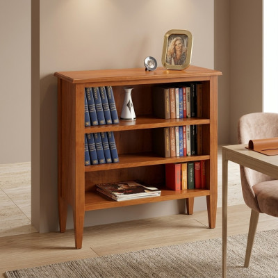 Bücherschrank Vitrine Sammlerschrank Regal Massiv Holz Mäbel Regale Schränke Neu