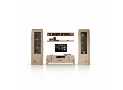 Wohnwände Set Vitrine TV Kommode Wandregale Kommoden Schrank Holz Möbel 5 tlg.