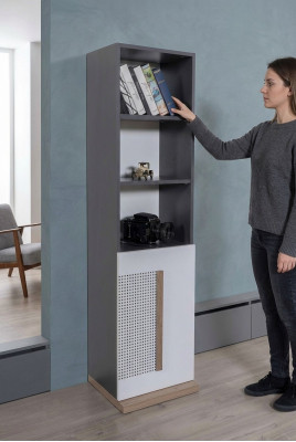 Schrank Holz Bücherschrank Jugendzimmer Grau Schränke Regal Möbel Neu