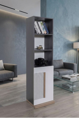 Schrank Holz Bücherschrank Jugendzimmer Grau Schränke Regal Möbel Neu