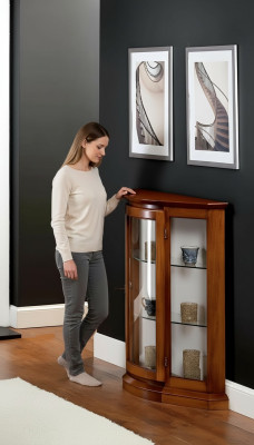 Vitrinen Glas Schrank Braun Vitrine Wohnzimmer Holz Anrichte Luxus Möbel Neu