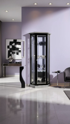 Vitrine Glasschrank Schwarz Luxus Italienische Möbel Vitrine Schränke Wohnzimmer