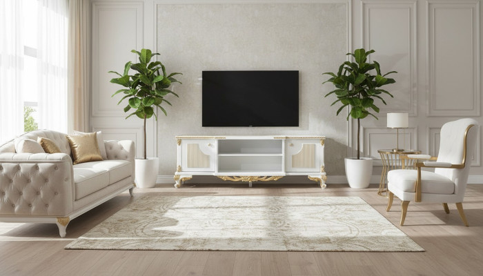 Klassisches Sideboard tv Ständer Kommode Holz Lowboard Kommoden Barock