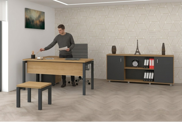Büro Einrichtung Schreibtisch Aktenschrank Schrank Couchtisch 2tlg Set