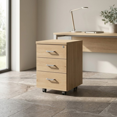 Kommode Büro Möbel Arbeitszimmer Klassischer Holz Aktenschrank Bücher