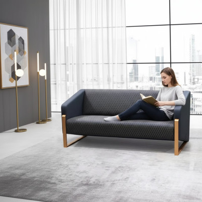 Sofa 2 Sitzer Luxus Möbel Couch Modern Designer Arbeitzimmer Büro Möbel
