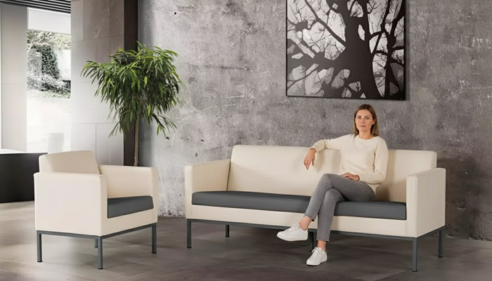 Büromöbel Komplettset Arbeitszimmer Sitzgruppe Sofagarnitur 2tlg Modern