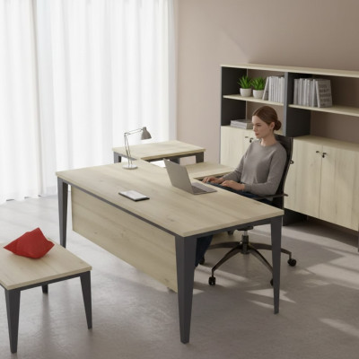 Designer Brauner Schreibtish Büromöbel Holztische Luxus Möbel Neu