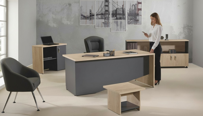 Tisch Büro Möbel Arbeitszimmermöbel Schreibtisch Set 4tlg Holz Grau