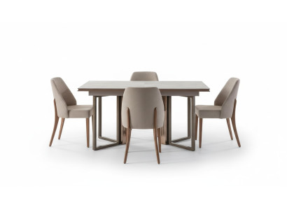 Garnitur Esszimmer Essgruppe Essecke Esstisch Stühle Holz Grau 7tlg