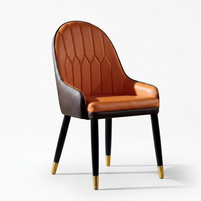 Braun-Orange Esszimmerstühle Designer Holzstühle Moderner Lehnstuhl