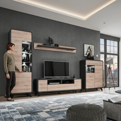 Wohnzimmer Set Wandregal TV-Ständer Holzmöbel 2x Vitrine Wohnwand Neu