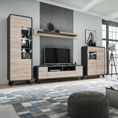Wohnzimmer Set Wandregal TV-Ständer Holzmöbel 2x Vitrine Wohnwand Neu