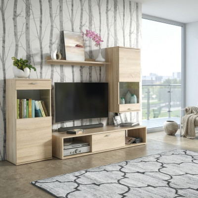 Wohnwand Modern Vitrine TV-Ständer Wohnzimmer Wand Regale Neu