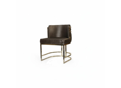 Luxus Stuhl Braun Farbe Modern Möbel mit Metallrahmen für Esszimmer