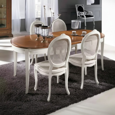 Esstisch Garnitur Ovaler Tisch Essgruppe Esstisch mit 4x Stühle Esszimmer