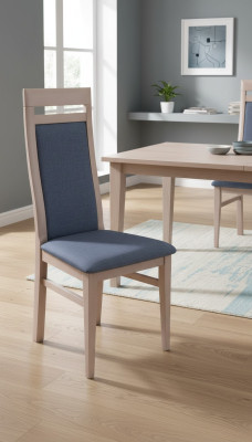 Wohnzimmer Stuhl Design Esszimmer Holz Stühle Polster ohne Armlehne Neu