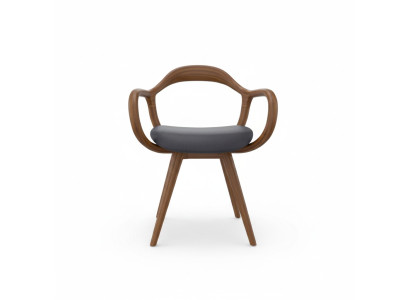Stühle Wohnzimmer Esszimmer Lehnstuhl Holzstuhl mit Armlehne Esszimmer Möbel