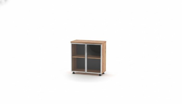 Aktenschrank mit Glastüren Braun Einfarbig Einlegenboden Arbeitszimmer