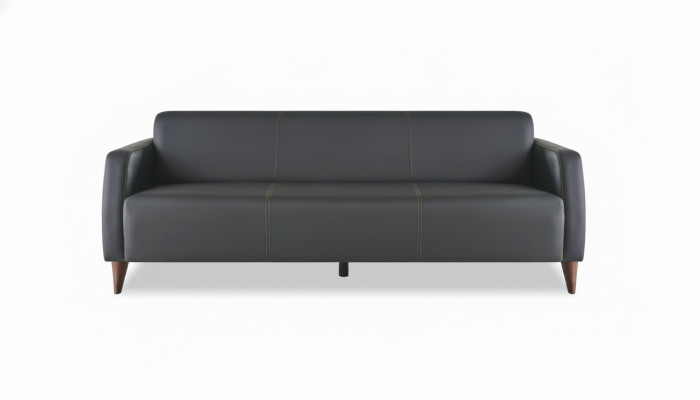 Ledersofa 3-Sitzer Sofa Schwarz Leder Holz Modern Vielseitig Weiche
