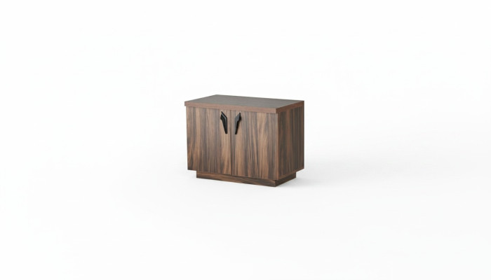 Kommode Braun Zweitürig Büro Arbeitszimmer Modern Rechteckig Sideboard