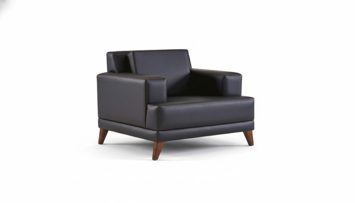 Sessel Schwarz Polster Modern Kissen Arbeitszimmer Wohnzimmer Leder Holz