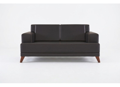 Couch Leder 2-Sitzer Sofa Schwarz Einfarbig Modern Design Ledesofa Holz