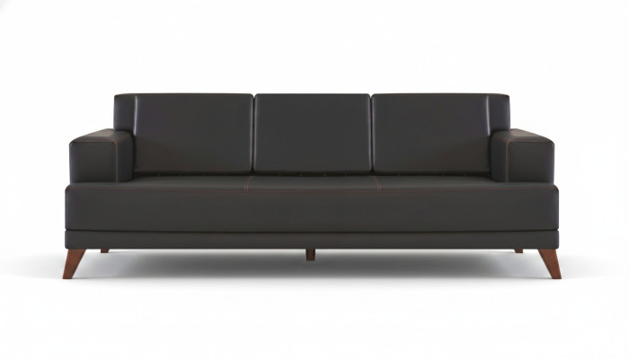 Ledersofa Modern 3-Sitzer Schwarz Einfarbig Couch Polster Kissen Holz